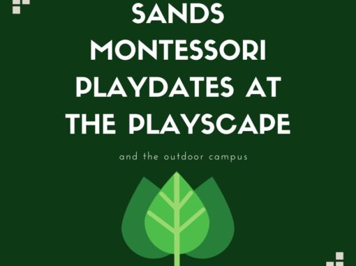 Summer Playdates at the Playscape!